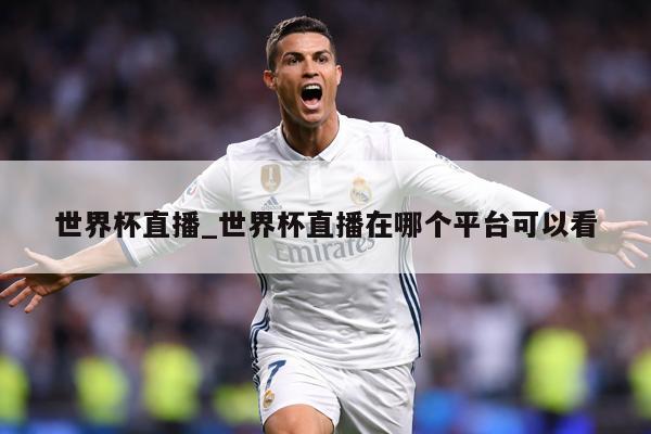 世界杯直播_世界杯直播在哪个平台可以看