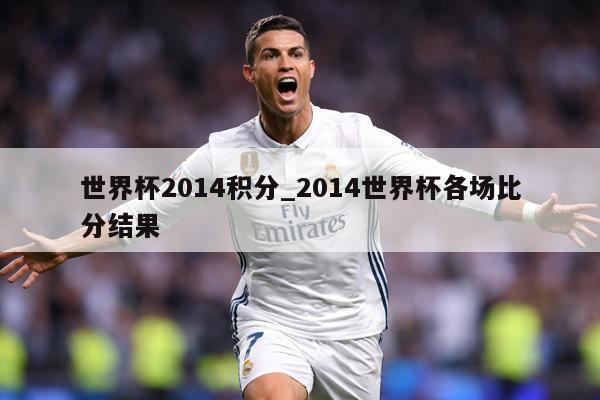 世界杯2014积分_2014世界杯各场比分结果